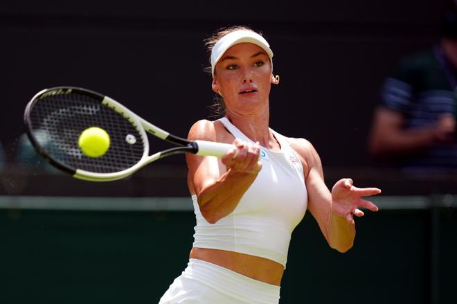 他们不仅在 他们不仅在