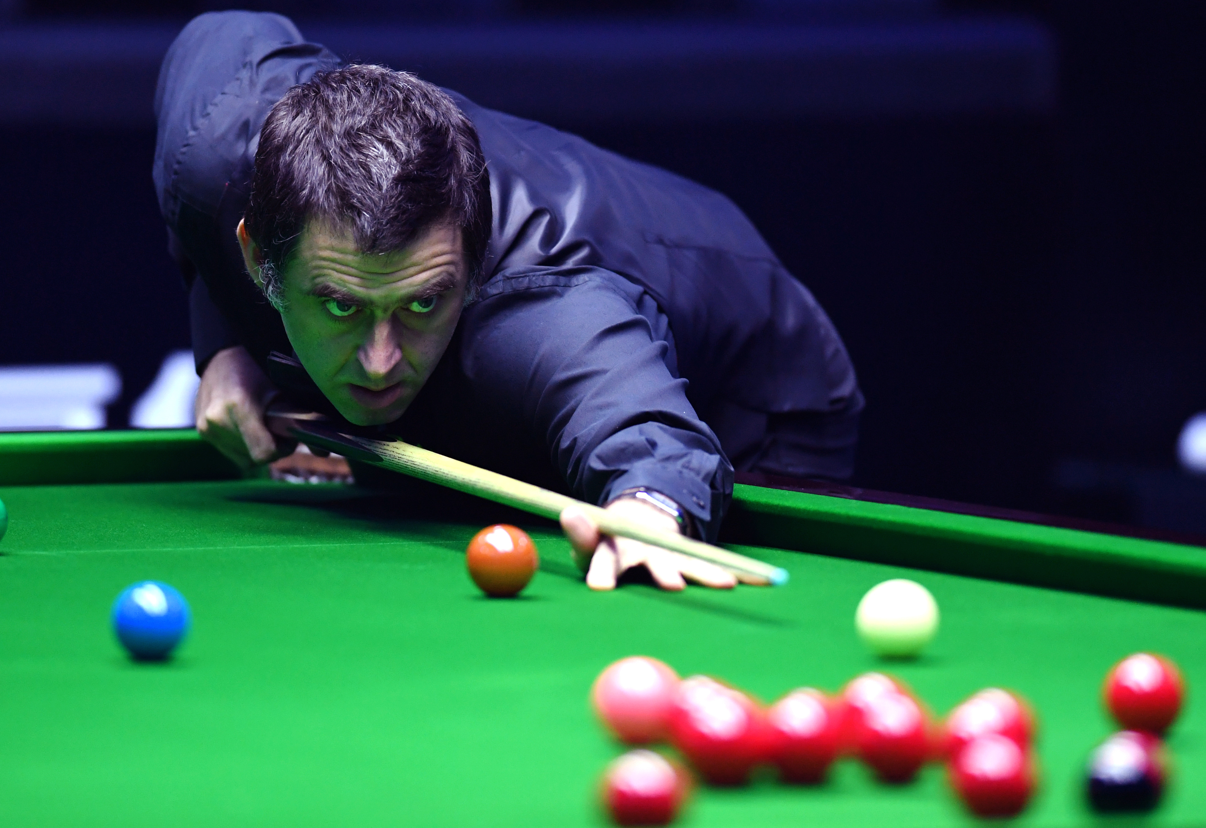 价比极高的 价比极高的